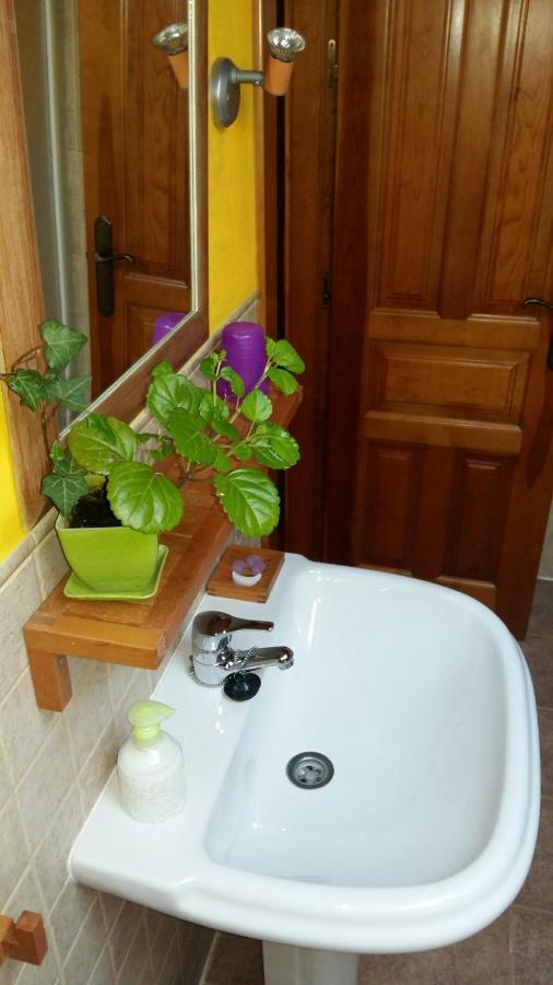 Casa Rural Calle Real Bed & Breakfast Torremocha de Ayllón Dış mekan fotoğraf