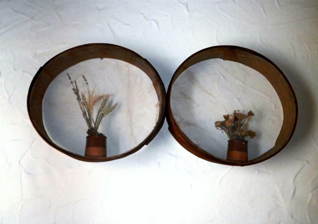 Casa Rural Calle Real Bed & Breakfast Torremocha de Ayllón Dış mekan fotoğraf